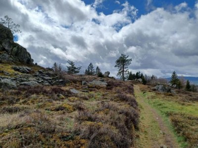 Apartment Modern Retreat in Nature - Environment photo 29