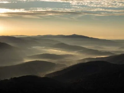 Apartment Modern Retreat in Nature - Environment photo 30