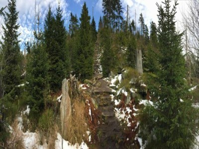 Apartment Modern Retreat in Nature - Environment photo 39