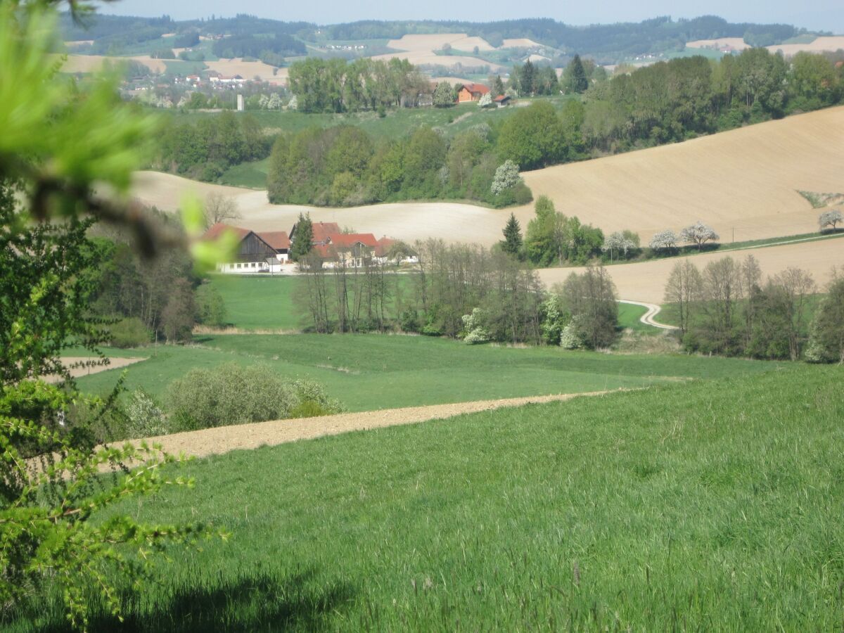 Apartment Wohnung in Rotthalmünster mit Garten - Outdoor photo 4