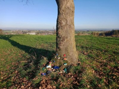 Apartment Wohnung in Rotthalmünster mit Garten - Environment photo 18