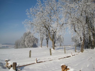 Apartment Wohnung in Rotthalmünster mit Garten - Environment photo 24