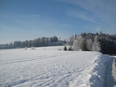 Apartment Wohnung in Rotthalmünster mit Garten - Environment photo 25