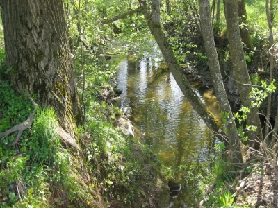 Apartment Wohnung in Rotthalmünster beim Thermendreieck - Environment photo 22
