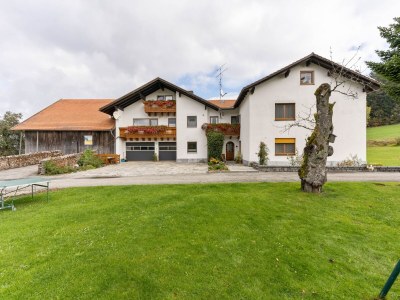 Apartment Wohnung in Waldnähe in Sonnen Bayern - Outdoor photo 4