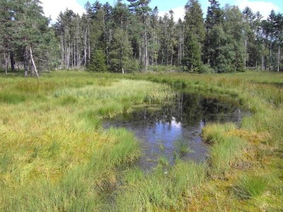 Apartment Wohnung in Waldnähe in Sonnen Bayern - Environment photo 35