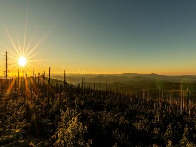 Apartment Wohnung in Waldnähe in Sonnen Bayern - Environment photo 37