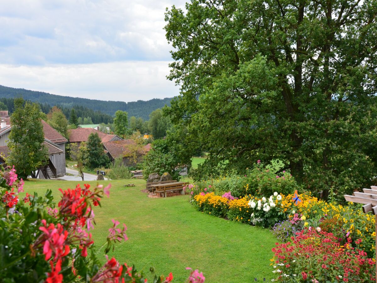 Holiday house Ferienwohnung in Drachselsried für 2 Personen - Outdoor photo 5