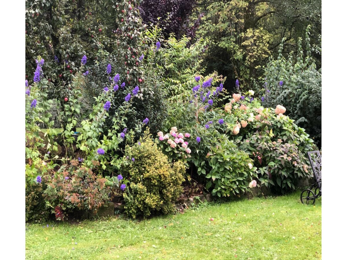 Holiday house Ferienhaus in Kollnburg mit Garten - Outdoor photo 5