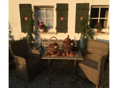 Holiday house Ferienhaus in Kollnburg mit Garten - Outdoor photo 4