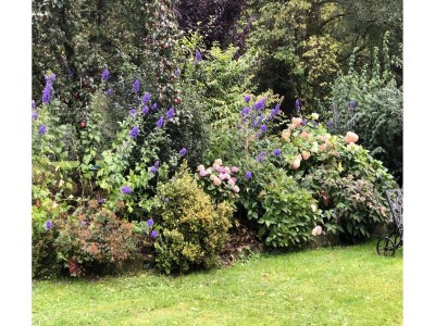 Holiday house Ferienhaus in Kollnburg mit Garten - Outdoor photo 5