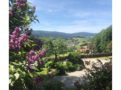 Holiday house Ferienhaus in Kollnburg mit Garten - Outdoor photo 6