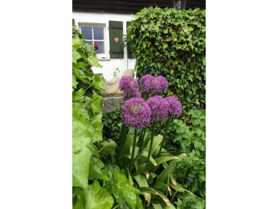 Holiday house Ferienhaus in Kollnburg mit Garten - Outdoor photo 8