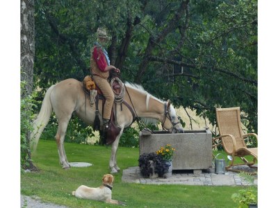 Holiday house Ferienhaus in Kollnburg mit Garten - Outdoor photo 9
