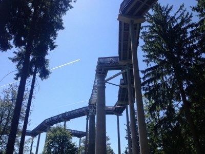 Holiday house Ferienhaus in Kollnburg mit Garten - Environment photo 23