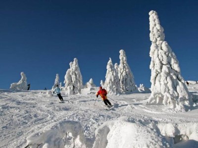 Holiday house Ferienhaus in Kollnburg mit Garten - Environment photo 27