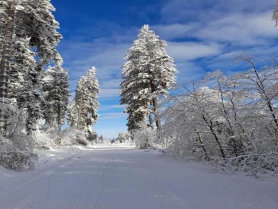 Apartment Wohnung in Flussnähe in Deggendorf Bayern - Environment photo 37