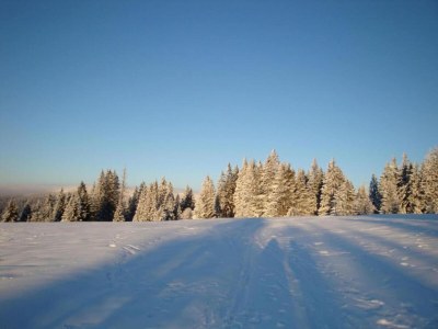 Holiday house Ferienhaus in Plankenfels - Environment photo 23