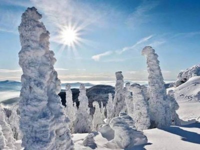 Holiday house Ferienhaus in Plankenfels - Environment photo 24