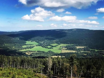 Holiday house Ferienhaus in Plankenfels - Environment photo 29