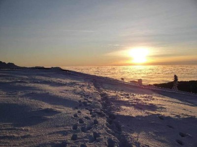 Holiday house Ferienhaus in Plankenfels - Environment photo 32