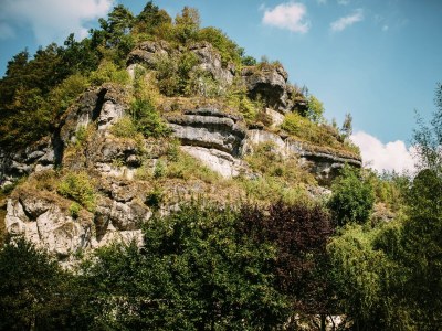 Holiday house Ferienhaus in Plankenfels - Environment photo 36