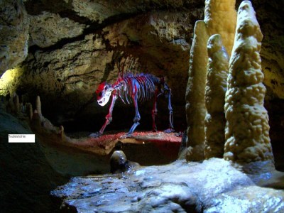 Holiday house Wohnung in Waldnähe in Plankenstein - Environment photo 38