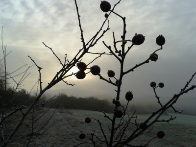 Apartment Wohnung in Burggrub mit Sauna und Garten - Environment photo 28