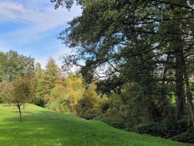 Apartment Wohnung in Burggrub mit Sauna und Garten - Environment photo 30