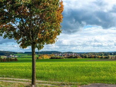 Cottage Comfort in Franconian Hills - Environment photo 14