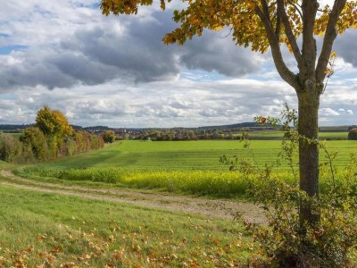 Cottage Comfort in Franconian Hills - Environment photo 16
