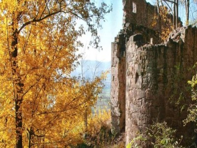 Cottage Comfort in Franconian Hills - Environment photo 18