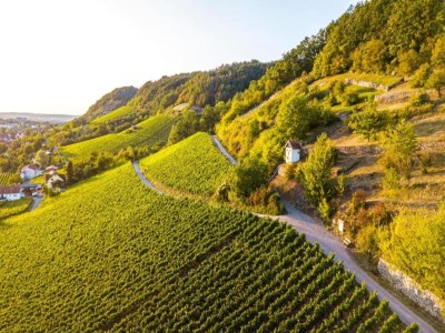 Cottage Comfort in Franconian Hills - Environment photo 20