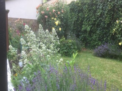 Cottage Comfort in Franconian Hills - Environment photo 21