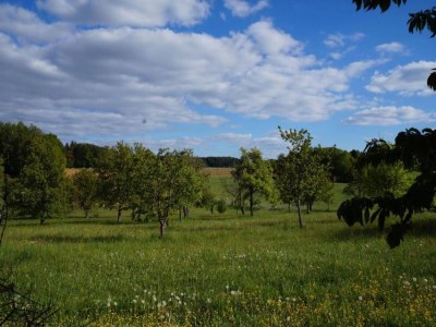 Cottage Comfort in Franconian Hills - Environment photo 23