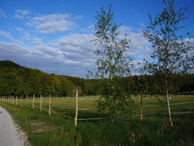 Cottage Comfort in Franconian Hills - Environment photo 24