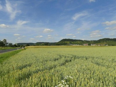 Cottage Comfort in Franconian Hills - Environment photo 29
