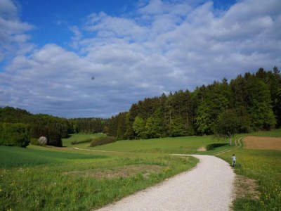 Cottage Comfort in Franconian Hills - Environment photo 34