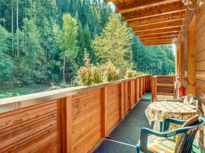 Apartment Rustikaler Kurzurlaub im Schwarzwald - Outdoor photo 7