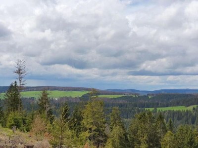 Apartment Cozy Apartment Near Trails - Environment photo 36