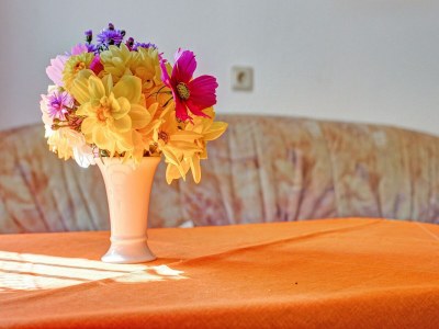 Apartment Cozy Apartment Near Trails - Outdoor photo 42