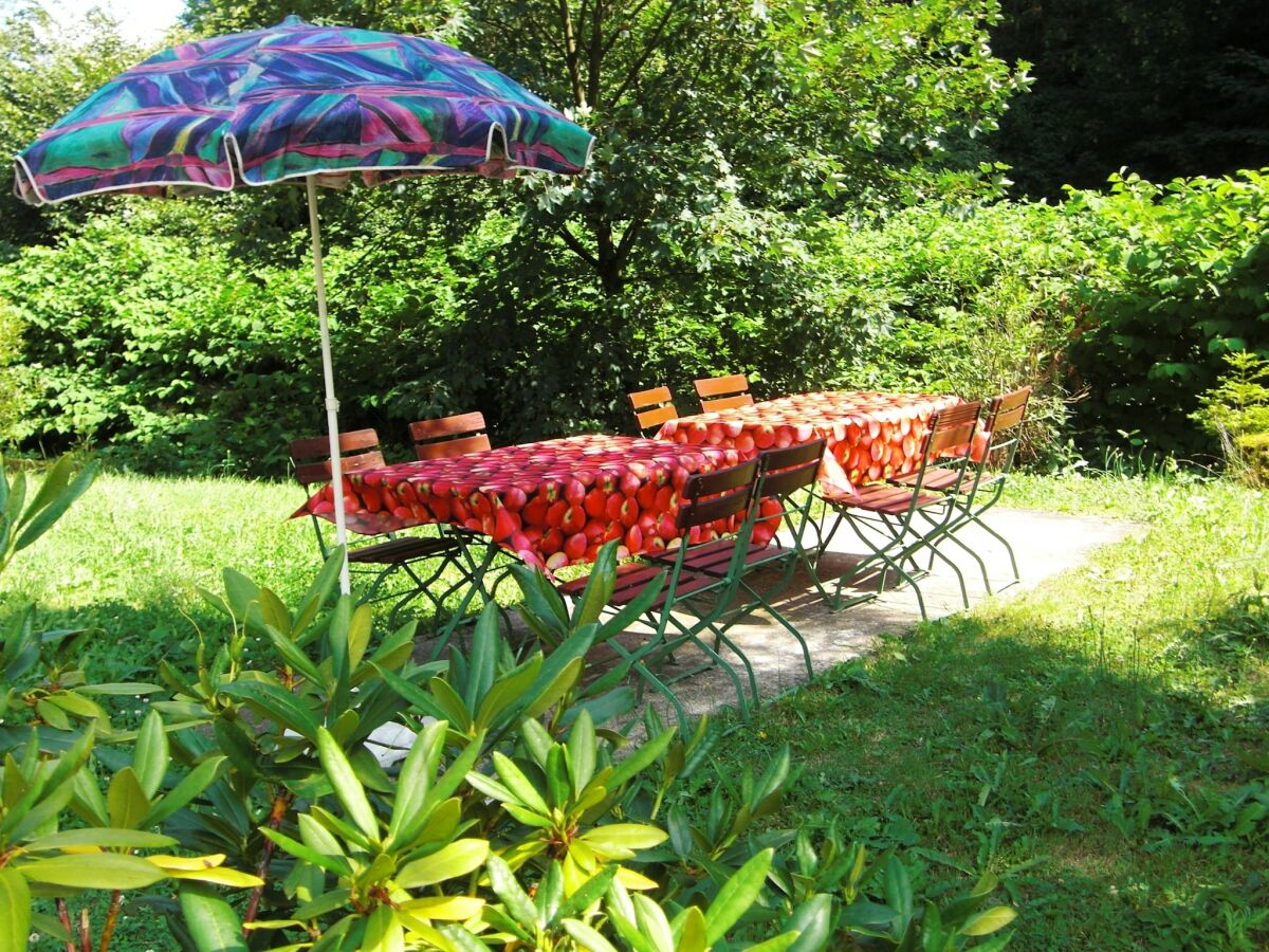 Apartment Spacious Stay Near Trails - Outdoor photo 3