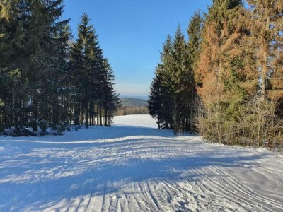 Apartment Spacious Stay Near Trails - Environment photo 22