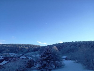 Apartment Spacious Stay Near Trails - Environment photo 26