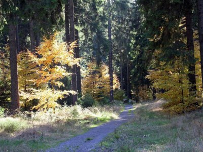 Apartment Spacious Stay Near Trails - Environment photo 29