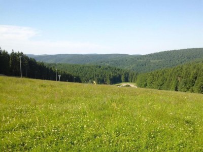 Apartment Spacious Stay Near Trails - Environment photo 30