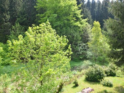 Apartment Spacious Stay Near Trails - Environment photo 32