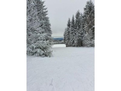 Apartment Spacious Stay Near Trails - Environment photo 37