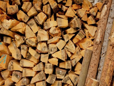 Apartment Spacious Stay Near Trails - Outdoor photo 40