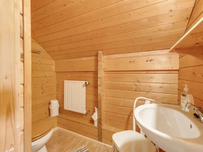 Holiday house Chalet in Hinterrod Thüringen mit Sauna - Features photo 28